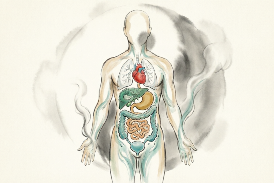 什么是五脏六腑的养生?