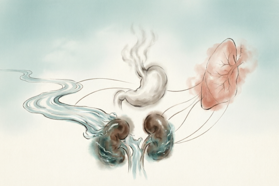 什么是中医的津液代谢？