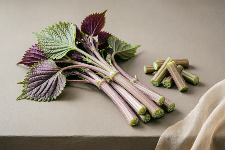 紫苏梗的功效与作用